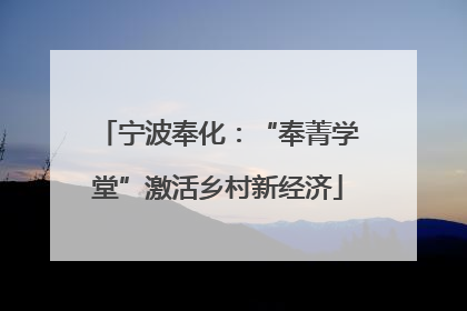 宁波奉化：“奉菁学堂”激活乡村新经济