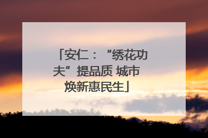 安仁：“绣花功夫”提品质 城市焕新惠民生