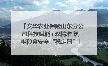 安华农业保险山东分公司科技赋能+双精准 筑牢粮食安全“稳定器”