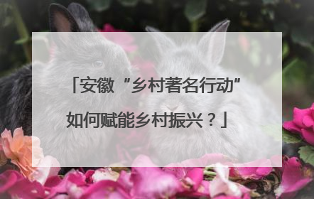 安徽“乡村著名行动”如何赋能乡村振兴？