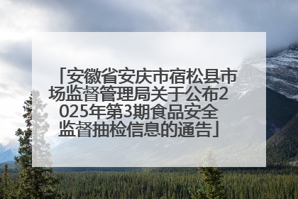 安徽省安庆市宿松县市场监督管理局关于公布2025年第3期食品安全监督抽检信息的通告