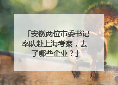 安徽两位市委书记率队赴上海考察，去了哪些企业？
