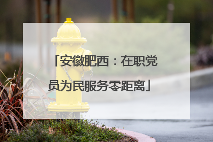 安徽肥西：在职党员为民服务零距离