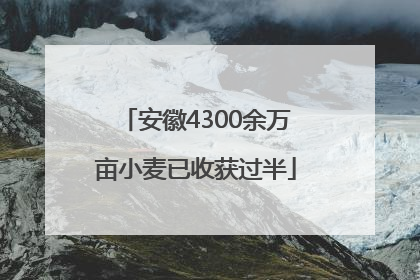 安徽4300余万亩小麦已收获过半