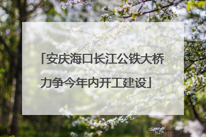 安庆海口长江公铁大桥力争今年内开工建设