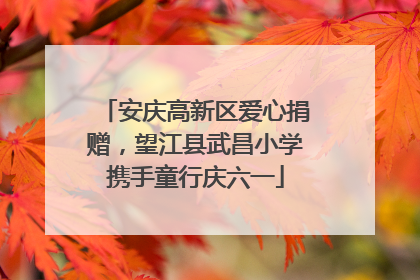 安庆高新区爱心捐赠，望江县武昌小学携手童行庆六一