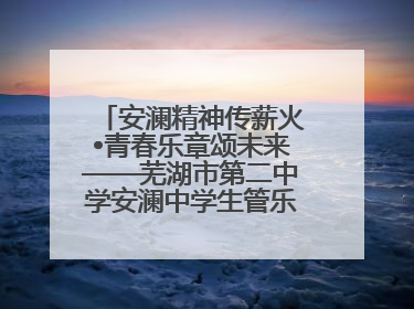 安澜精神传薪火•青春乐章颂未来——芜湖市第二中学安澜中学生管乐团第十二届公益展演圆满举行