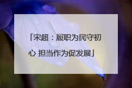 宋超：履职为民守初心 担当作为促发展