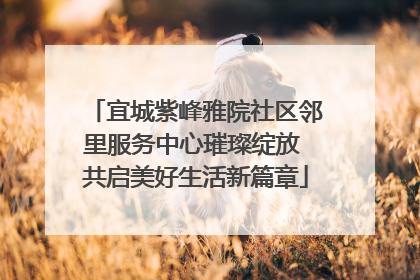 宜城紫峰雅院社区邻里服务中心璀璨绽放 共启美好生活新篇章