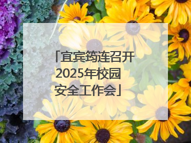 宜宾筠连召开2025年校园安全工作会
