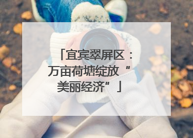 宜宾翠屏区：万亩荷塘绽放“美丽经济”