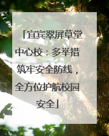 宜宾翠屏草堂中心校：多举措筑牢安全防线，全方位护航校园安全