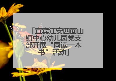 宜宾江安四面山镇中心幼儿园党支部开展“同读一本书”活动