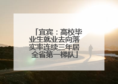 宜宾：高校毕业生就业去向落实率连续三年居全省第一梯队