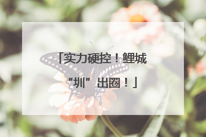 实力硬控！鲤城“圳”出圈！