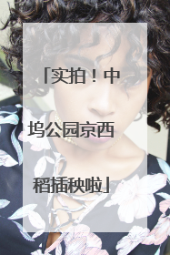 实拍！中坞公园京西稻插秧啦