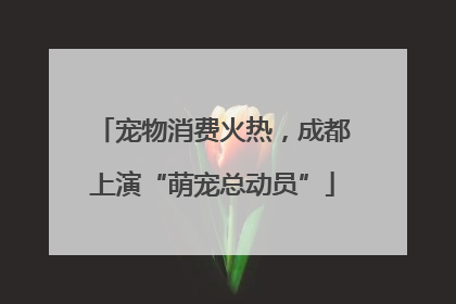 宠物消费火热，成都上演“萌宠总动员”