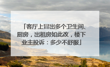 客厅上冒出多个卫生间、厨房，出租房如此改，楼下业主投诉：多少不舒服