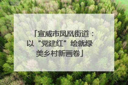 宣威市凤凰街道：以“党建红”绘就绿美乡村新画卷