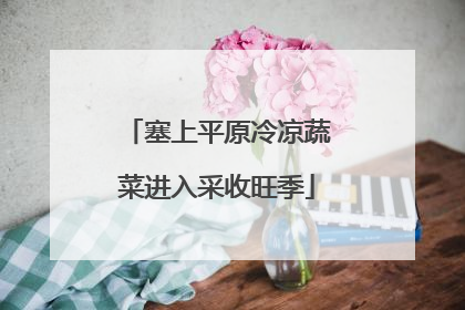 塞上平原冷凉蔬菜进入采收旺季