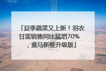 夏季蔬菜又上新！羽衣甘蓝销售同比猛增70%，盒马新推升级版