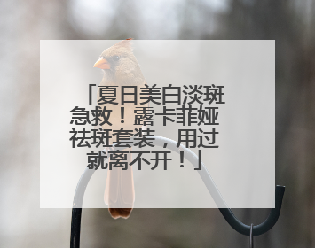 夏日美白淡斑急救！露卡菲娅祛斑套装，用过就离不开！