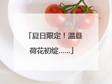 夏日限定！温县荷花初绽……