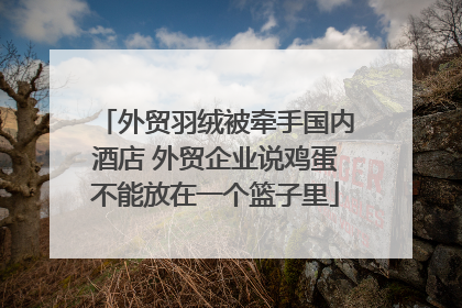 外贸羽绒被牵手国内酒店 外贸企业说鸡蛋不能放在一个篮子里