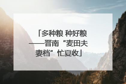 多种粮 种好粮——晋南“麦田夫妻档”忙夏收