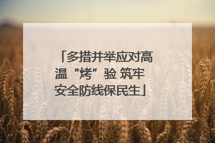 多措并举应对高温“烤”验 筑牢安全防线保民生