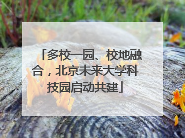 多校一园、校地融合，北京未来大学科技园启动共建