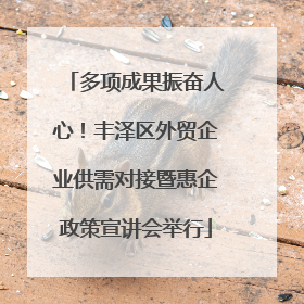 多项成果振奋人心！丰泽区外贸企业供需对接暨惠企政策宣讲会举行