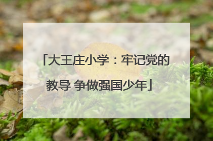 大王庄小学：牢记党的教导 争做强国少年