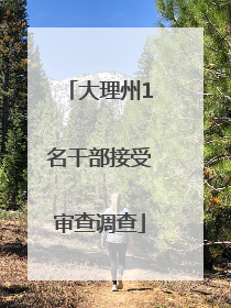 大理州1名干部接受审查调查