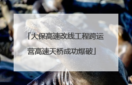 大保高速改线工程跨运营高速天桥成功爆破