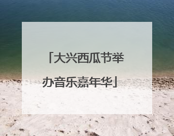 大兴西瓜节举办音乐嘉年华