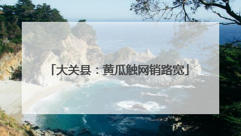 大关县：黄瓜触网销路宽