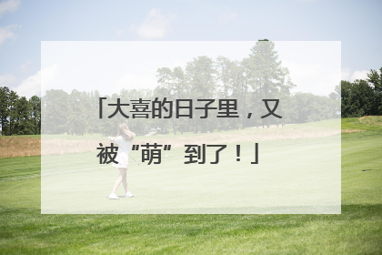 大喜的日子里，又被“萌”到了！