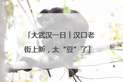 大武汉一日︱汉口老街上新，太“豆”了