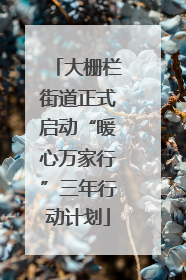 大栅栏街道正式启动“暖心万家行”三年行动计划