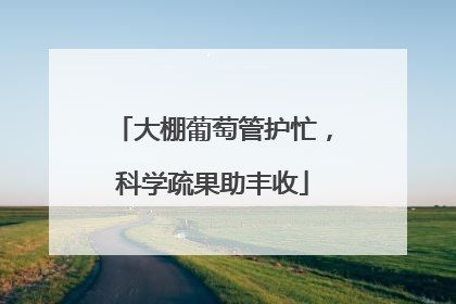 大棚葡萄管护忙，科学疏果助丰收
