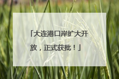 大连港口岸扩大开放，正式获批！