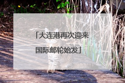 大连港再次迎来国际邮轮始发
