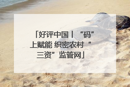 好评中国丨“码”上赋能 织密农村“三资”监管网