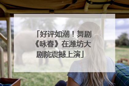好评如潮！舞剧《咏春》在潍坊大剧院震撼上演
