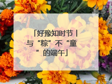 好豫知时节丨与“粽”不“童”的端午