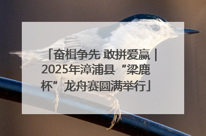 奋楫争先 敢拼爱赢｜2025年漳浦县“梁鹿杯”龙舟赛圆满举行
