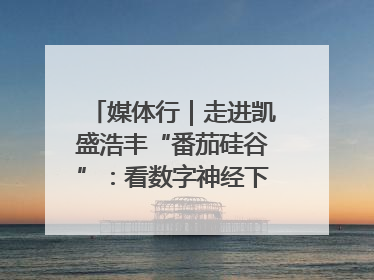 媒体行｜走进凯盛浩丰“番茄硅谷”：看数字神经下的精准农业
