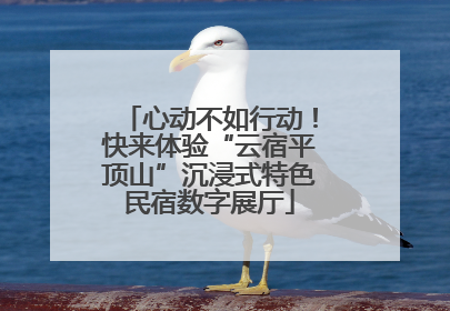 心动不如行动！快来体验“云宿平顶山”沉浸式特色民宿数字展厅