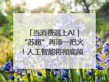 当消费遇上AI｜“苏超”再添一把火！人工智能将彻底颠覆绿茵场？